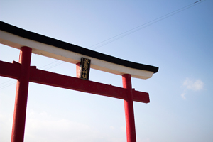 写真1