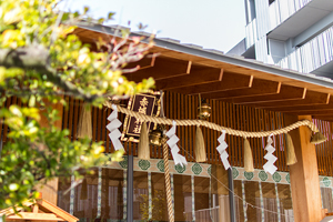 写真4
